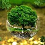 Советник Close D1